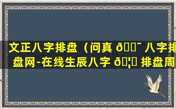 文正八字排盘（问真 🐯 八字排盘网-在线生辰八字 🦋 排盘周易工具）